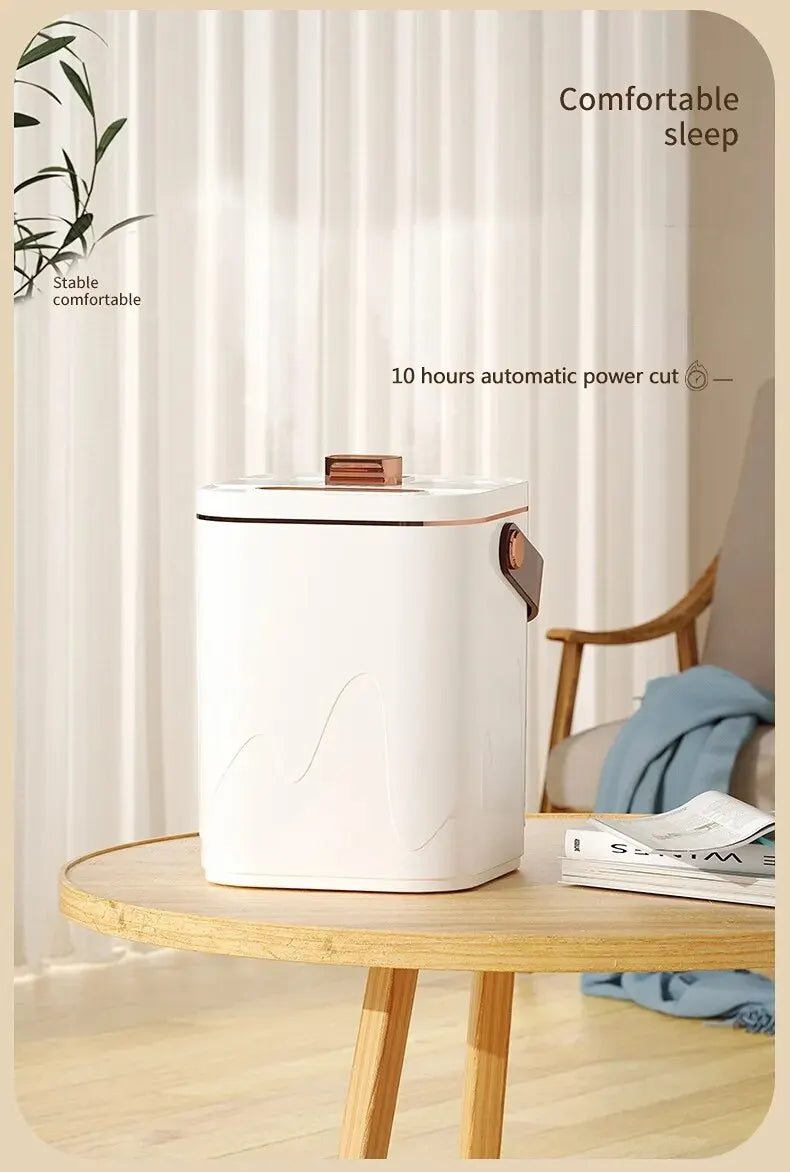 AtmosRain - Dual Nozzle Humidifier